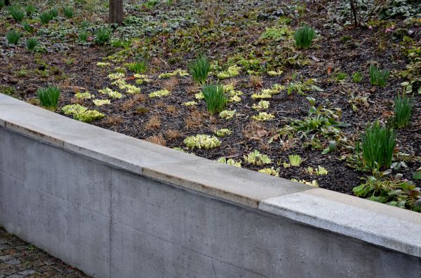 Concrete Wall Construction in Frankfort