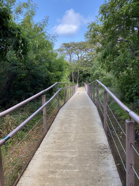 Footpath Construction in Frankfort