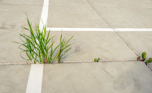 Concrete Parking Installation in Frankfort